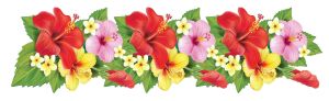 exotic flowers horizontal clipart